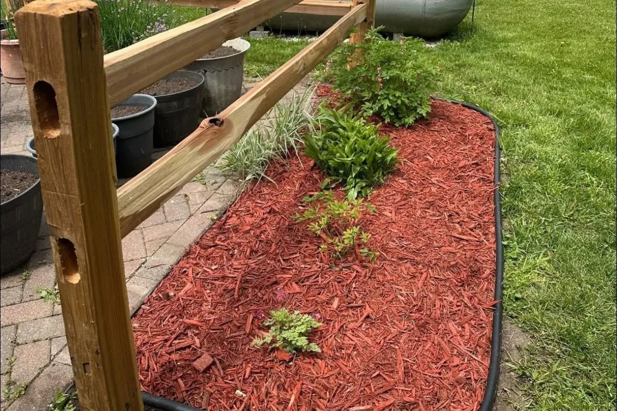 Edging & Mulching project in Cannon City, MN