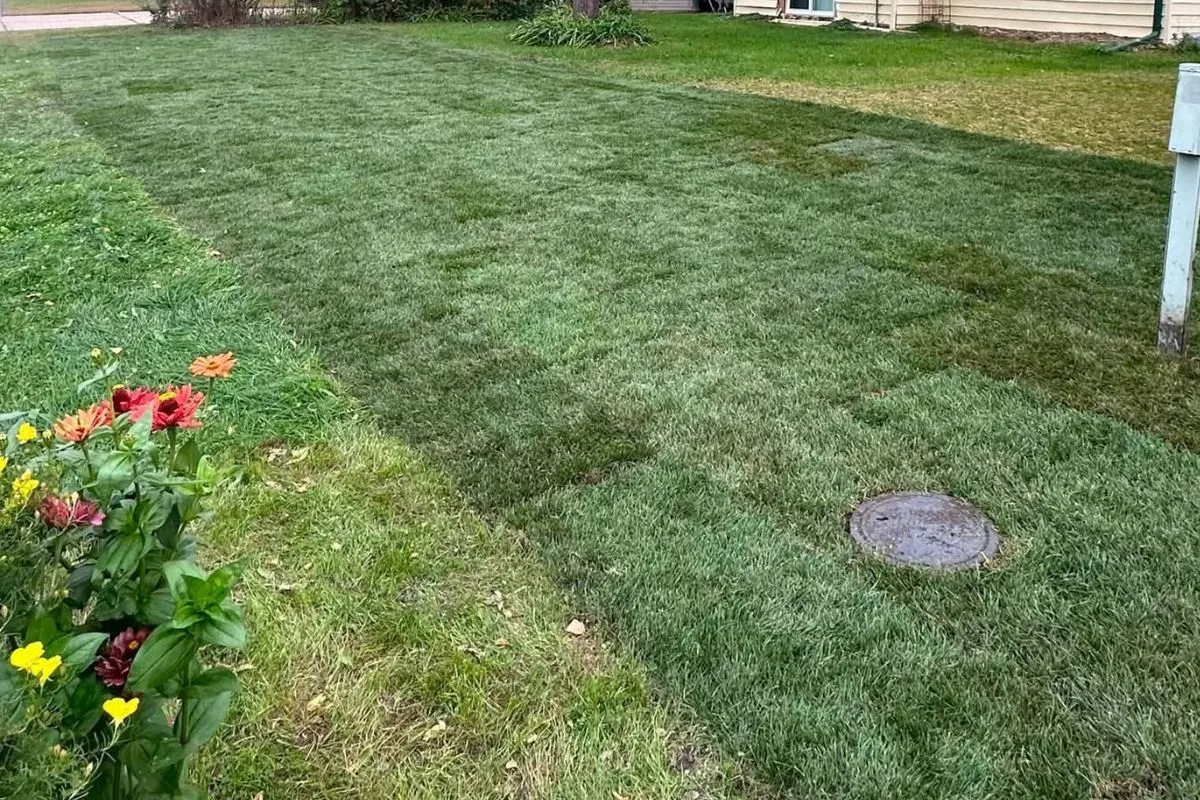Sod Installation project in Medford, MN
